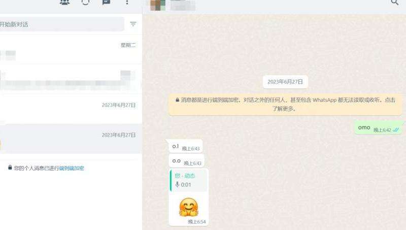 WhatsApp电脑版怎么视频通话